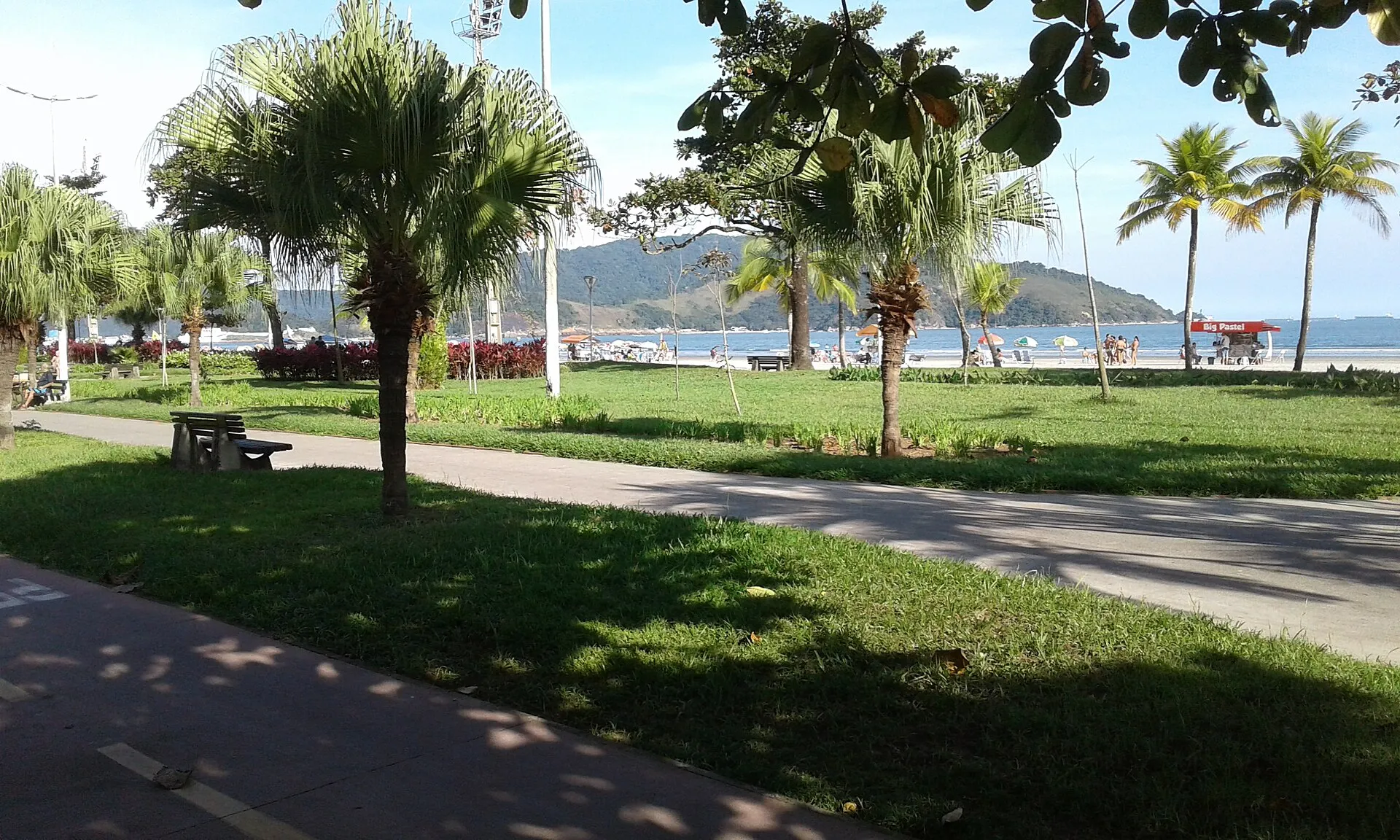 Jardim da orla de Santos, com gramado, palmeiras e a ciclovia, e os morros ao fundo