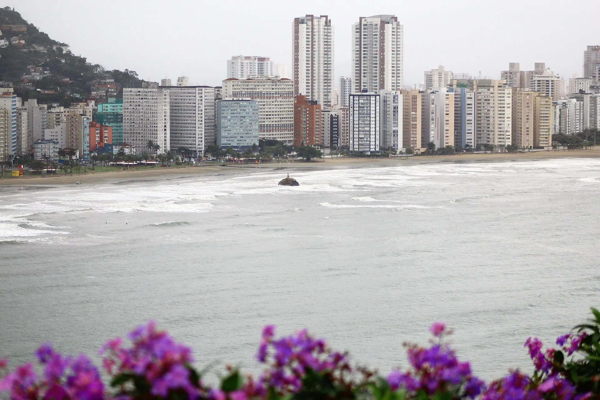 Praia do Itararé, em São Vicente, com os prédios da orla ao fundo e flores em primeiro plano